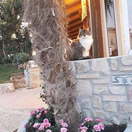 Perla Bed & Breakfast Gussago Exterior photo