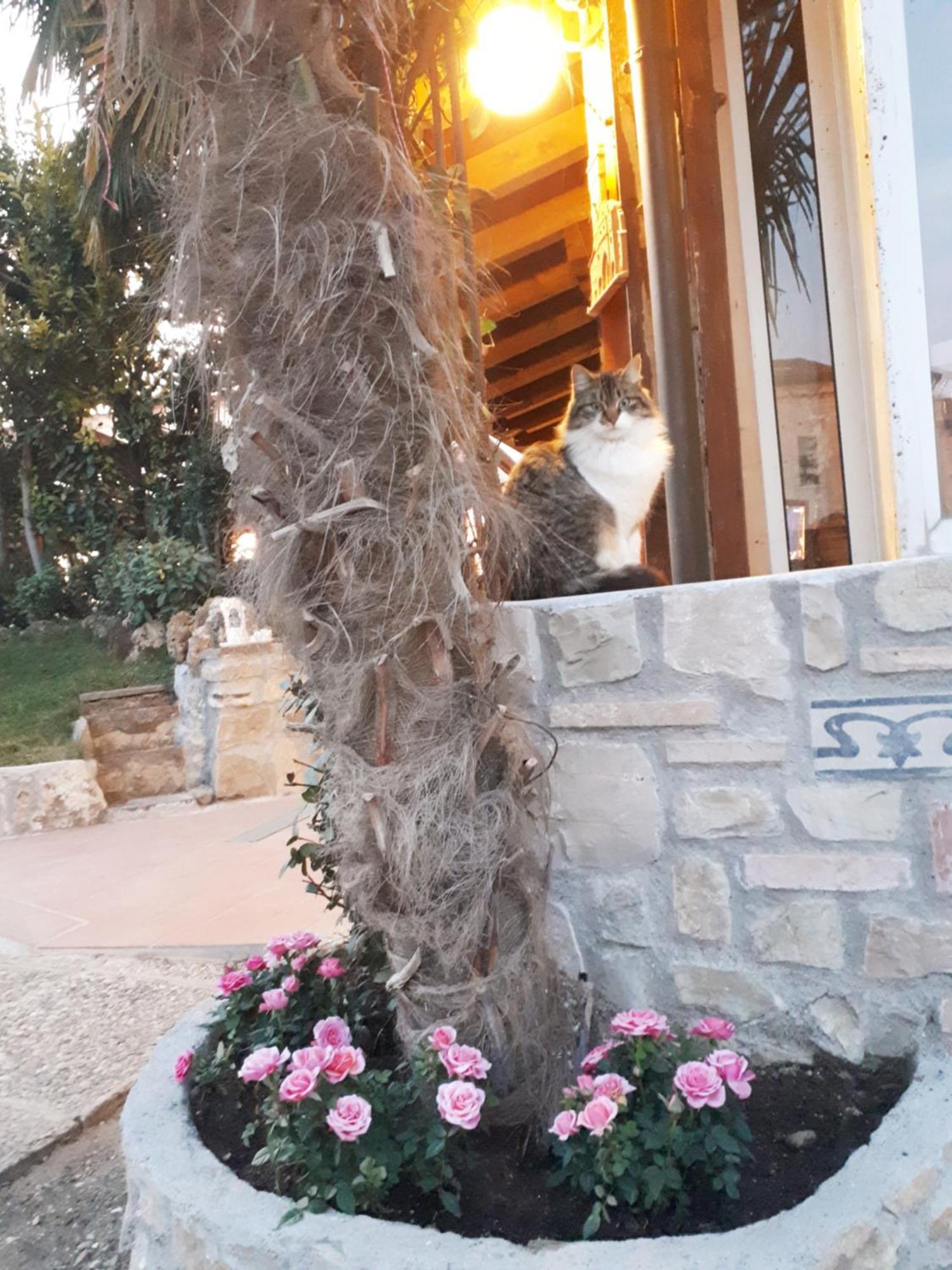 Perla Bed & Breakfast Gussago Exterior photo
